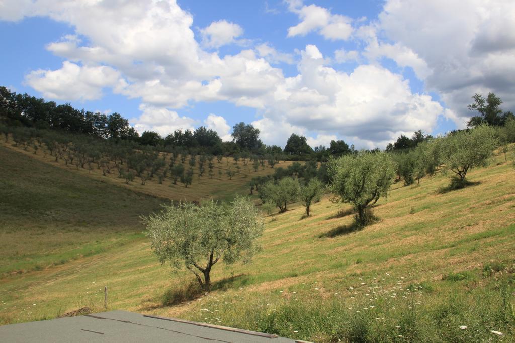 Agriturismo Le Buche Di Viesca Reggello Exteriér fotografie